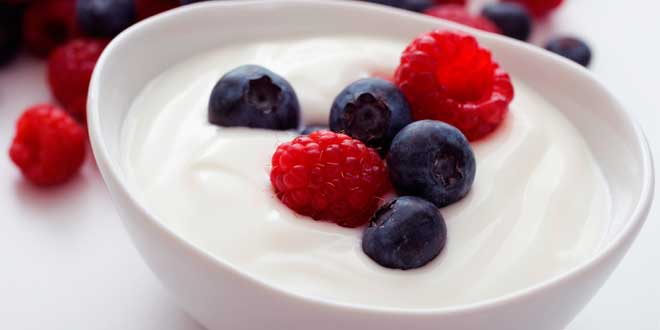 yogurt