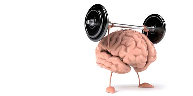 apoyo-salud-cerebral apoyo-salud-cerebral