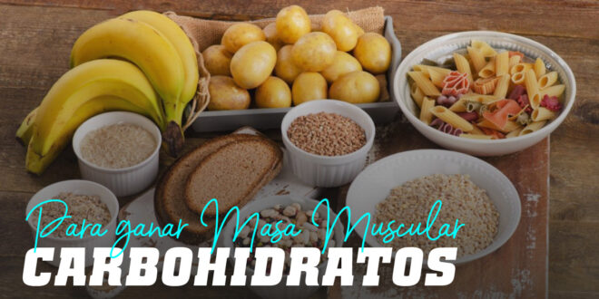 Carbohidratos para Ganar Masa Muscular