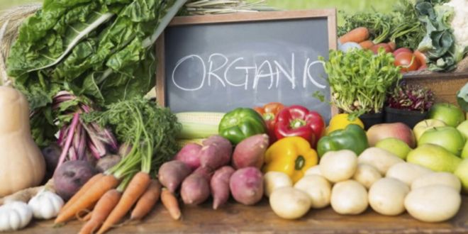 Alimentos organicos