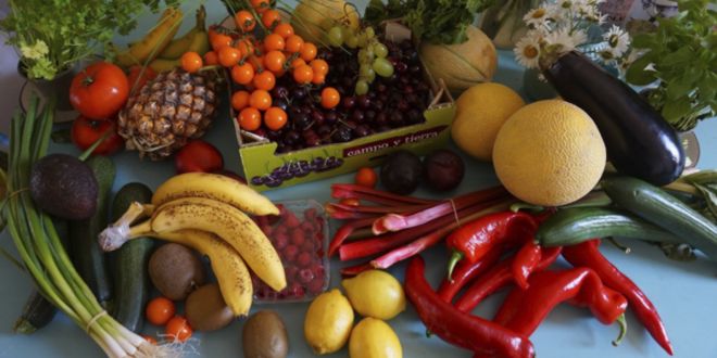 alimentos saludables