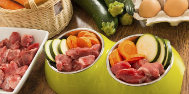 Dieta Cruda de Carne