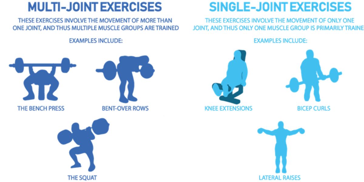 Exercices polyarticulaires et monoarticulaires