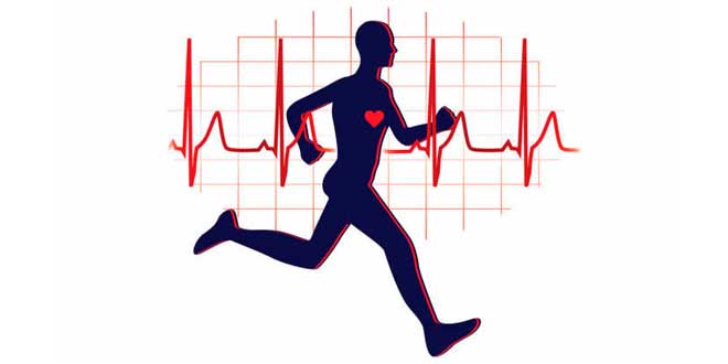 7 Beneficios Cardiovasculares del Ejercicio Físico que No Conocías