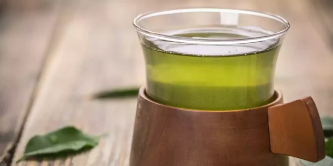 Efectos de las catequinas del té verde para la salud Efectos de las catequinas del té verde para la salud