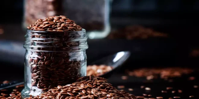 Todas las propiedades de las semillas de Lino para tu organismo