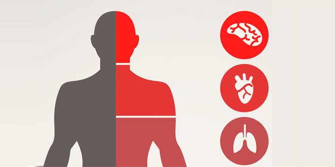 Beneficios para la salud de Gynostemma