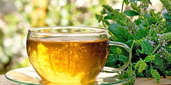 Infusiones para la memoria