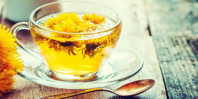 Beneficios infusión diente de león