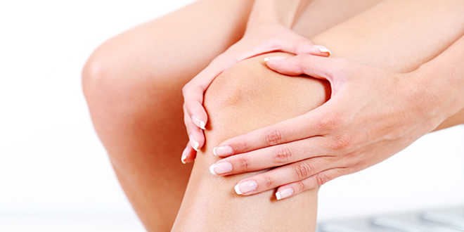 Alga fucus y articulaciones