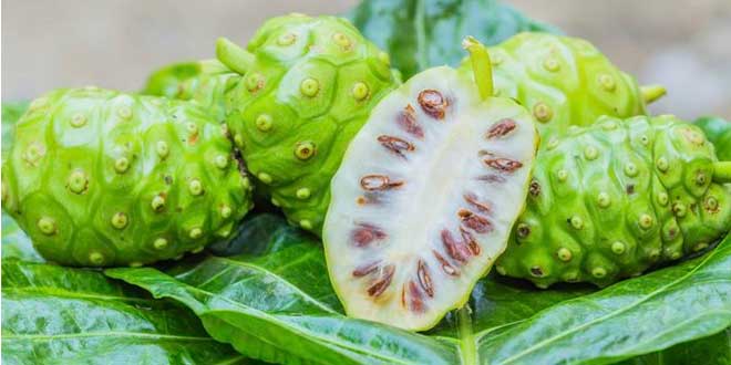 Noni: bondades de la fruta que protege las células Noni: bondades de la fruta que protege las células