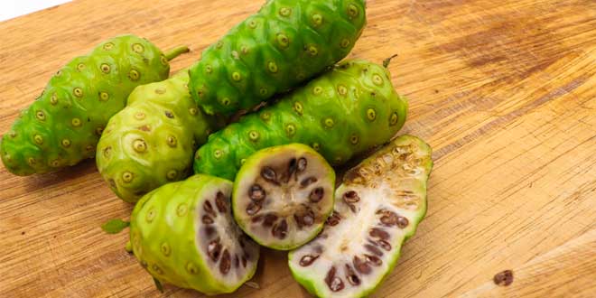 Beneficios del Noni