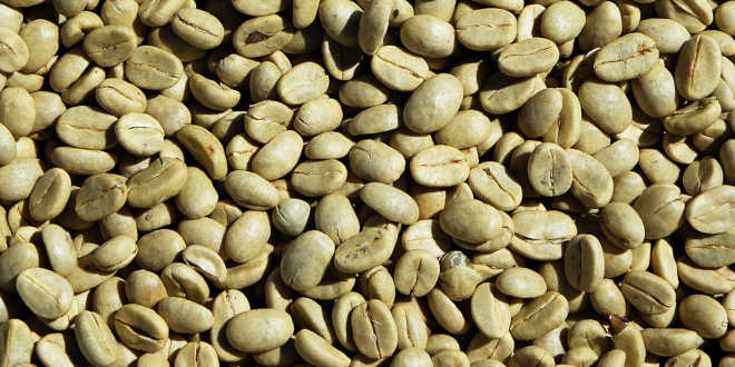 Beneficios Café Verde Beneficios Café Verde