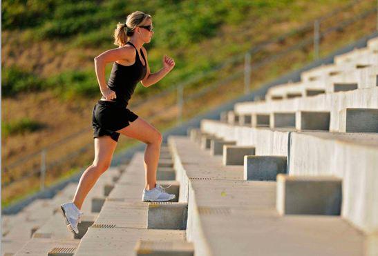 cardiovascular cardio interior vs cardio exterior