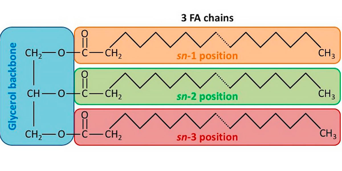 Structure chimique