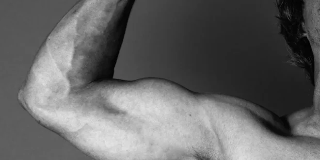 Las mejores frases de Arnold Schwarzenegger