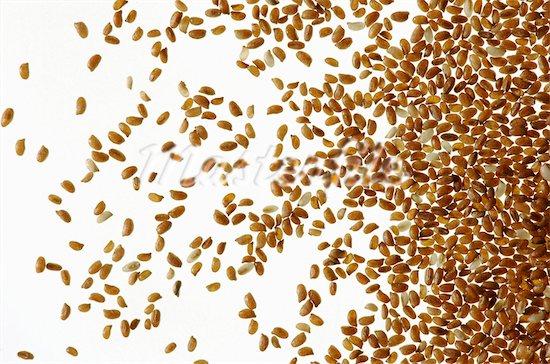Teff beneficios del teff