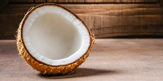 Coco: propiedades, beneficios y valor nutricional de un superalimento natural