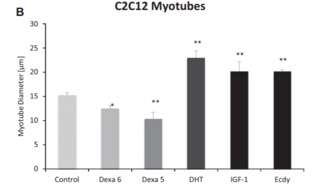 Dexametasona Dexametasona