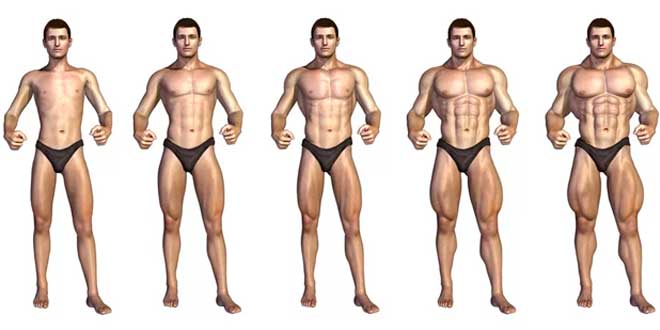 Hipertrofia Muscular