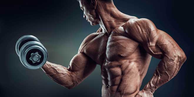 Hipertrofia Sarcoplasmatica