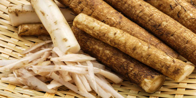 Raíz bardana y propiedades