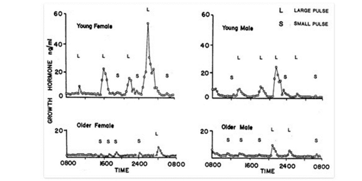 patron cycles 24h hgh