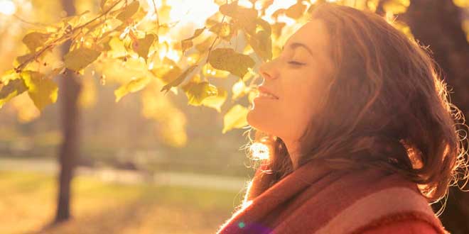 Beneficios Plantas Adaptógenas