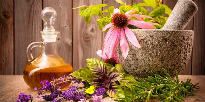 Cómo Tomar Plantas Adaptógenas