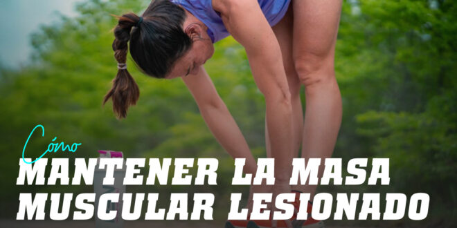 ¿Qué hacer para mantener la masa muscular estando lesionado? ¿Qué hacer para mantener la masa muscular estando lesionado?