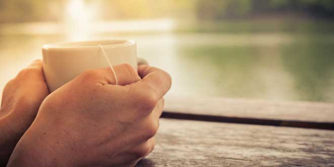 Plantas Adaptógenas y Cortisol