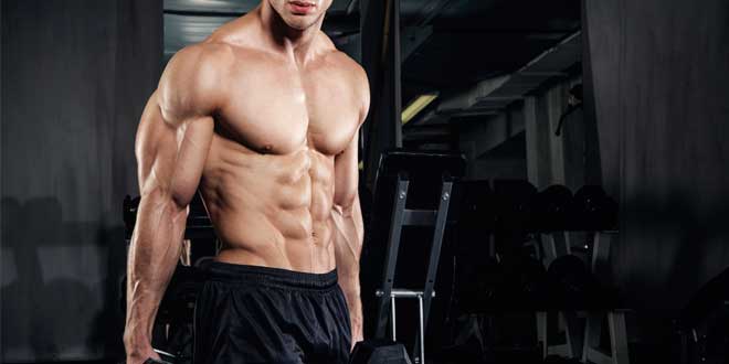 Principio Uso Desuso