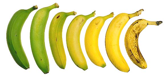 frutas