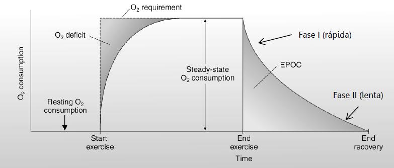 Resultado de imagen de volumen de o2 consumido durante un ejercicio