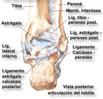 IMAGEN 1 15º post