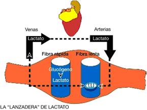 IMAGEN 1 17º post