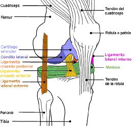 IMAGEN 1 18º post parte I