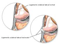 IMAGEN 2 18º post parte I