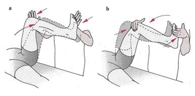 IMAGEN 5 18º post parte I