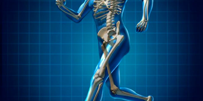 Explicación gráfica de la mecánica respiratoria durante el ejercicio