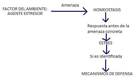 estres2