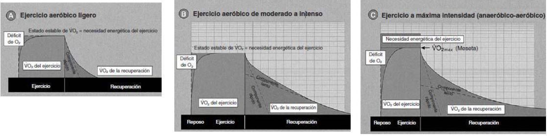 Gráfica EPOC