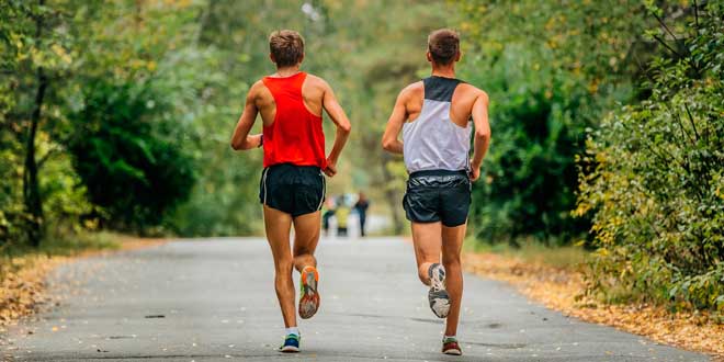 Interacción Antioxidantes