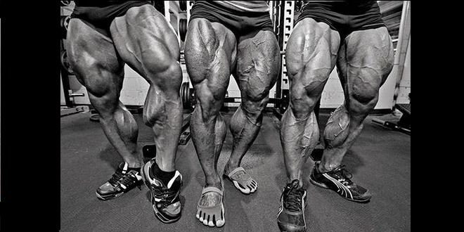 Prensa de piernas y sentadilla ¿trabajan igual?