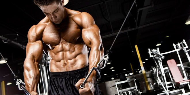 Oxigenación miofibrilar y crecimiento muscular