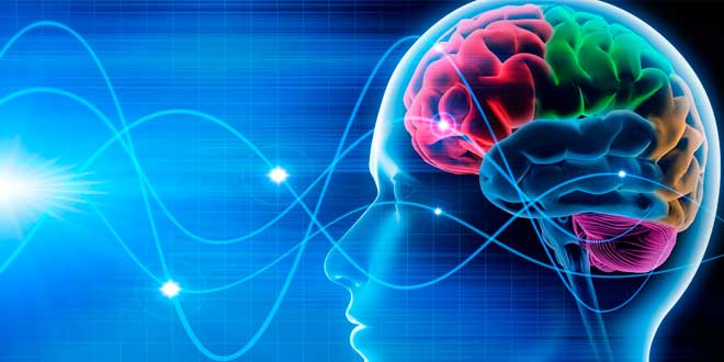 Plasticidad Cerebral