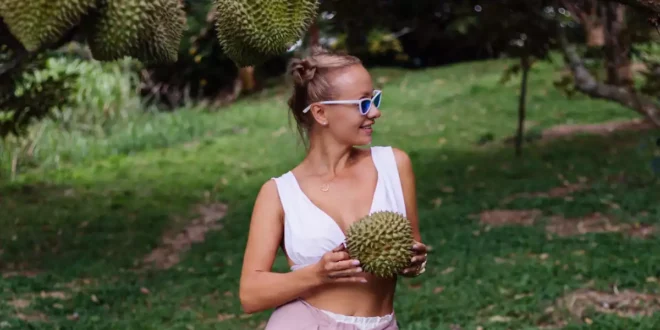 Graviola: El tesoro tropical para tu bienestar