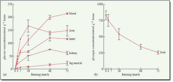 respuesta-metabolica