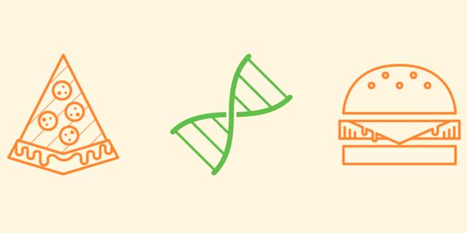 Factores de Obesidad