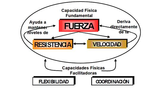 capacidad-de-fuerza